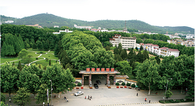 眾升科技成功案例淮南礦業集團 眾升科技成功案例淮南礦業集團