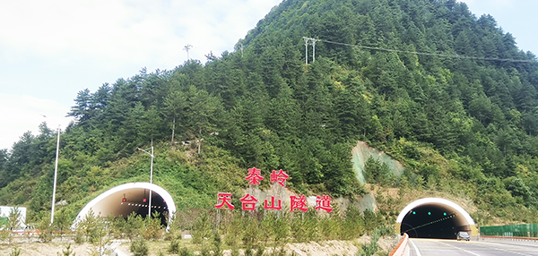 圖片1 圖片1