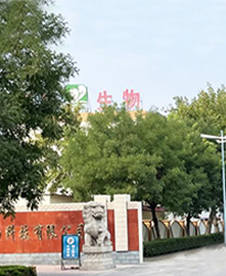 眾升科技高壓無功補償柜 --助力山東福洋生物科技股份有限公司,高效用電、改善用電質量!