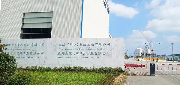 內圖339 內圖339