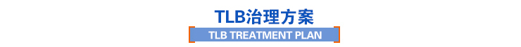 治理方案 治理方案