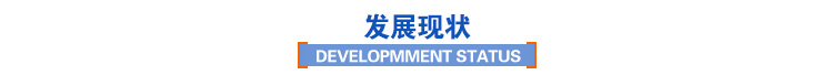發(fā)展現(xiàn)狀 發(fā)展現(xiàn)狀